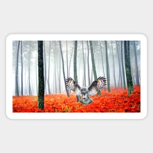 Great Grey Owl in Autumn Sticker